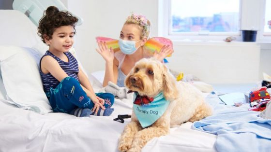 Boy in hospital sitting on his bed with a Spread a Smile Fairy and Therapy Dog